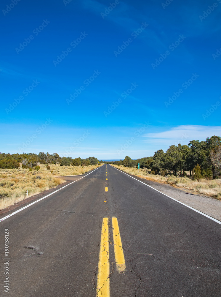 Obraz premium County road in Arizona, USA