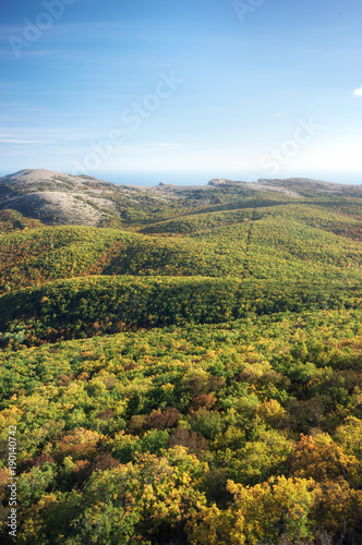 Mountain autumn hills landscape. Nature composition
