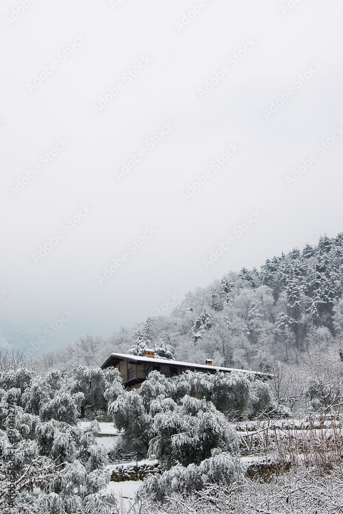 Fototapeta premium Snowing on house