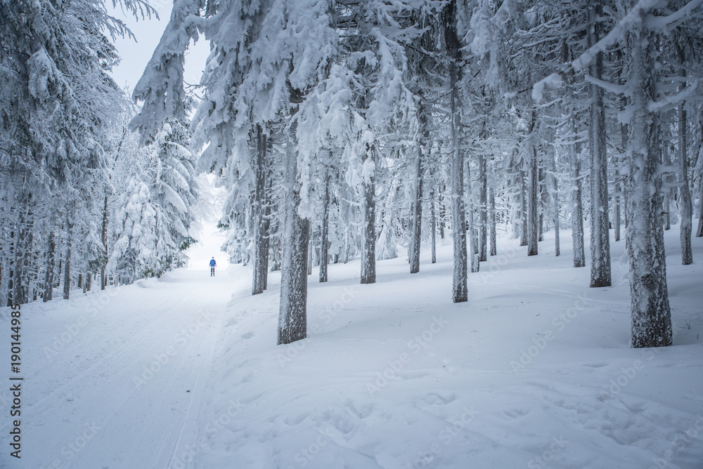 Nordic ski athlete in white winter nature Nordic ski athlete in white winter nature