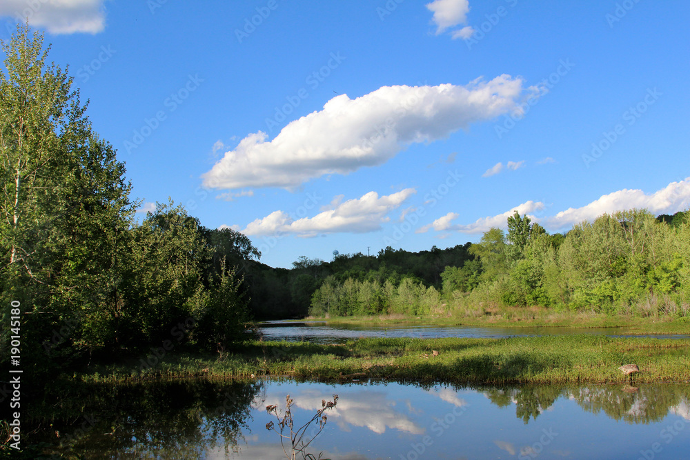 Amid Nature - Beautiful summer colors abound in and around a serene looking river.