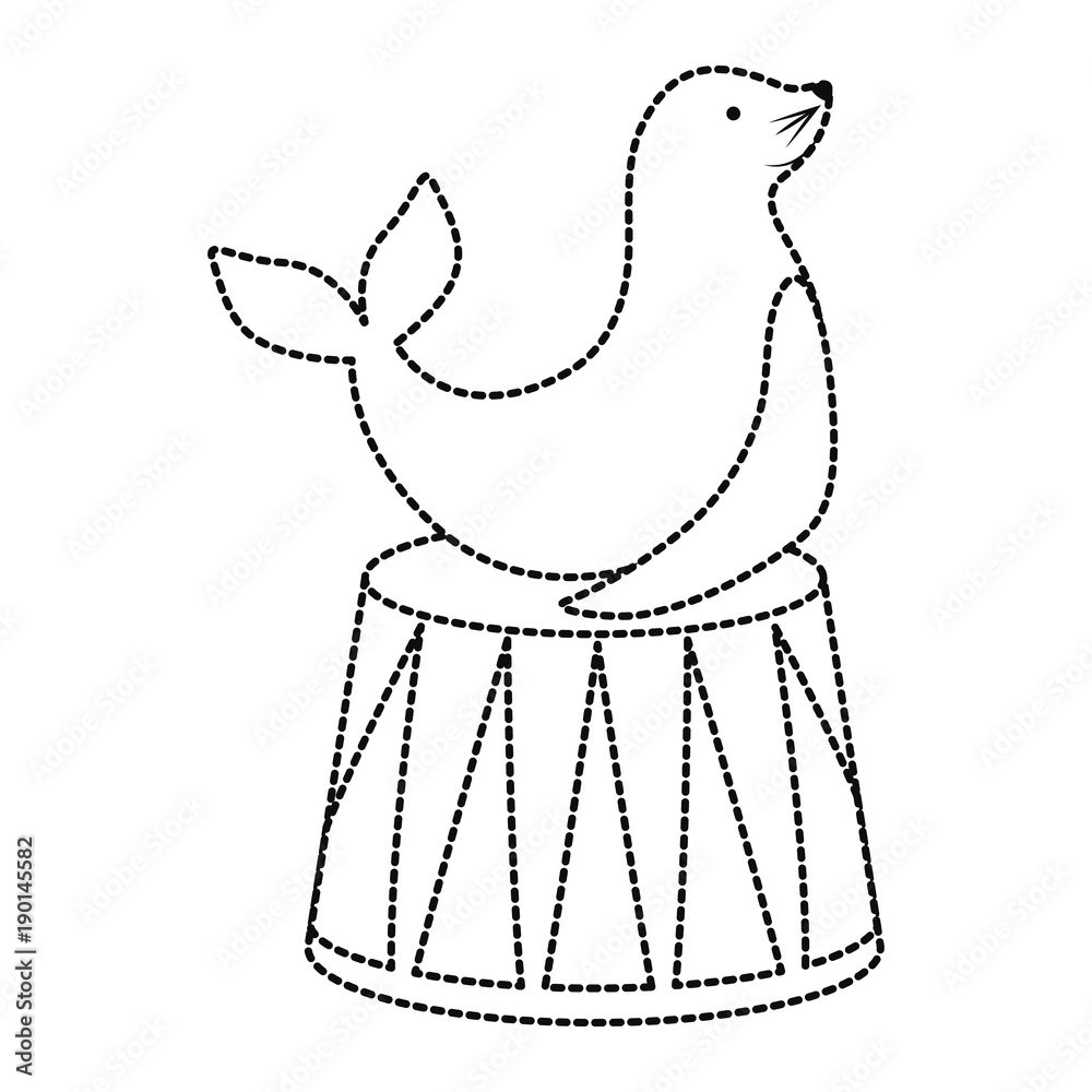 seal animal design Adobe Stock
