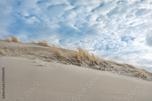 Sand Dunes And Blue SkyAt Petten Aan Zee North Holland