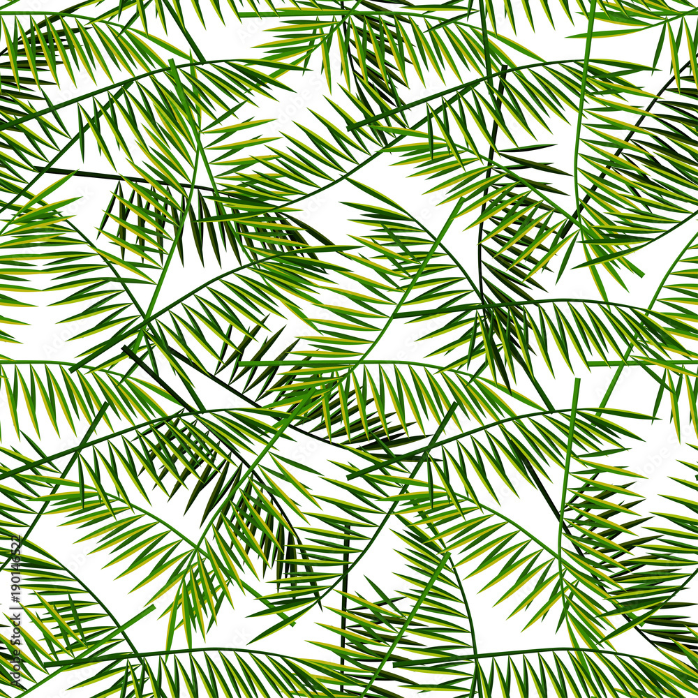 Vector seamless pattern with palm leaves. Summer illustration. Exotic tropical foliage.