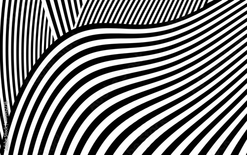 Zebra Design Black and White Stripes Vector