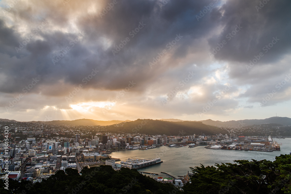 Wellington New Zealand seen from Mount Victoria during sunset. 
