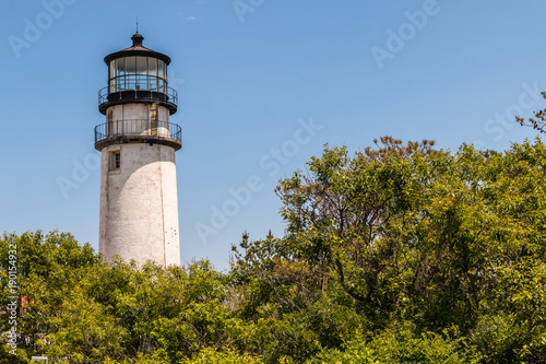 Wallpaper Mural A light house pops up from a group of trees in Cape Cod.  Torontodigital.ca