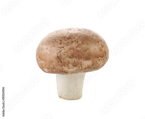 Raw cremini mushroom on white background