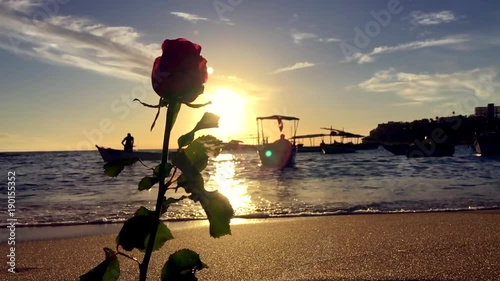 Silhouette of a rose on the beach in Rio Vermelho, an offering for the Festival of Yemanja in Salvador, Bahia, Brazil