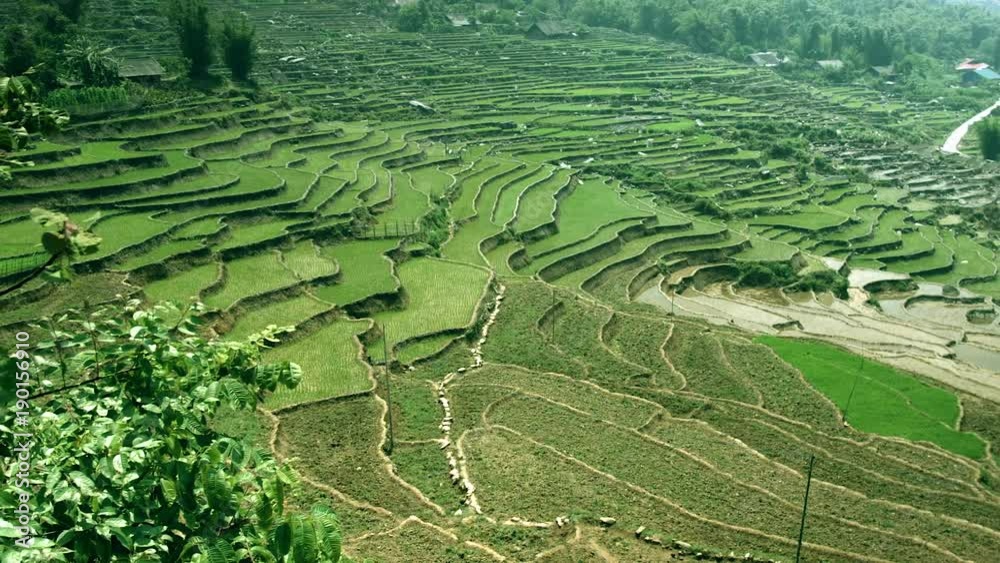 Terraced fields in Sa Pa district, North of Vietnam Terraced fields in Sa Pa district, North of Vietnam