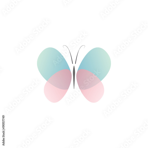 Abstract butterfly with transparent color vector