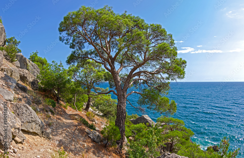 A path along a steep sea shore A path along a steep sea shore
