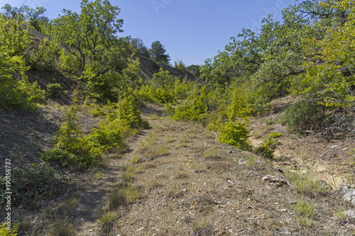 The path at the bottom of the ravine.