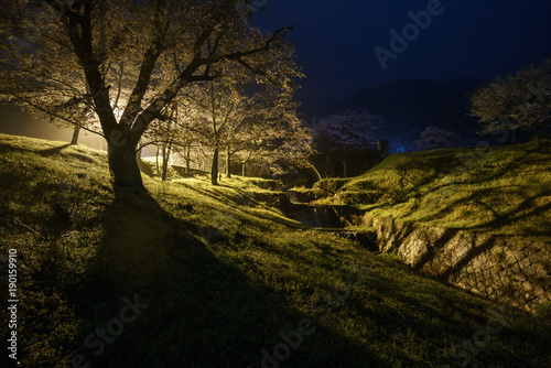 霞間ヶ渓と夜桜 photo