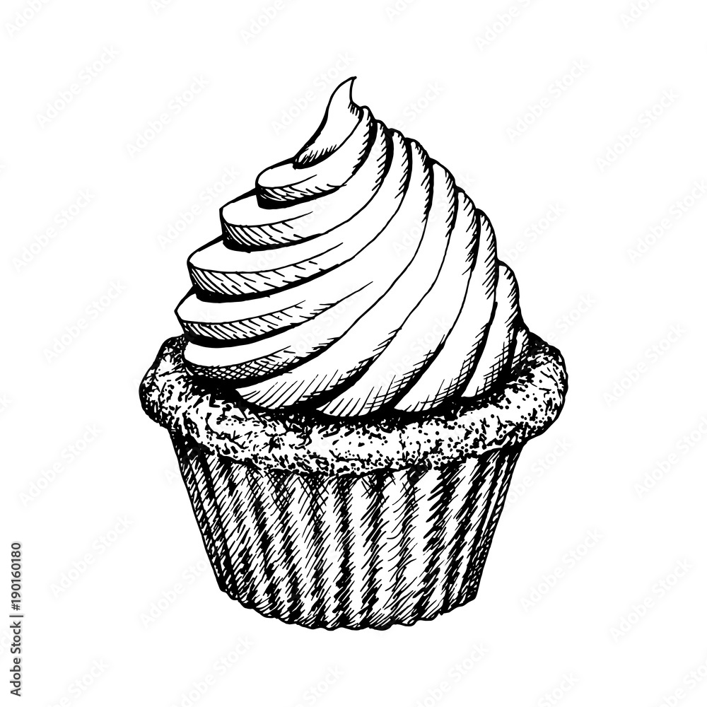 Hand drawn cupcake sketch. Sweet muffin with wafer tubes isolated on white  background. Vector illustration Stock Vector Image & Art - Alamy