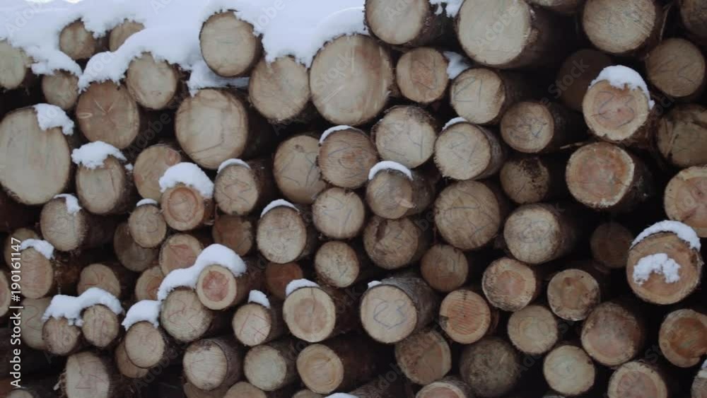 Panoramic view of heap of logs along road at sawmill covered in white snow on winter cloudy day Panoramic view of heap of logs along road at sawmill covered in white snow on winter cloudy day