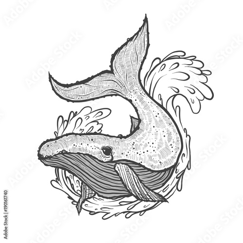 Hand drawn vector illustration of whale with wave and splash