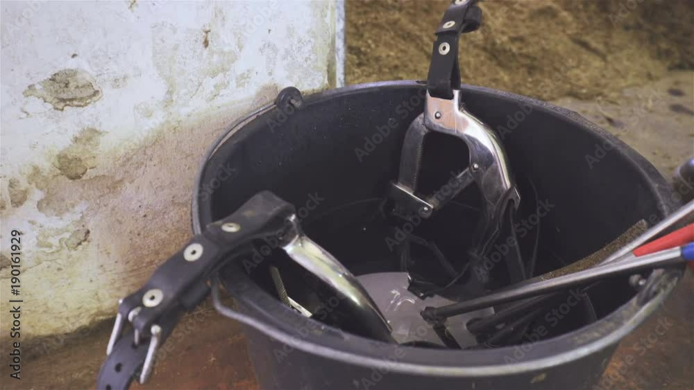 Horse mouth gag inside bucket disinfecting with water close up 4K vídeo