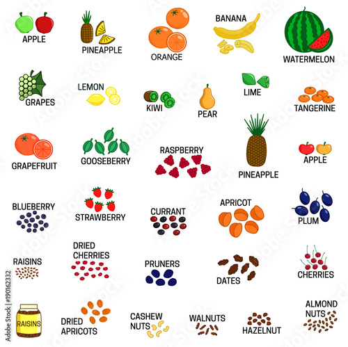 Set of different kinds of fruit, dried fruits and nuts vector colored illustration