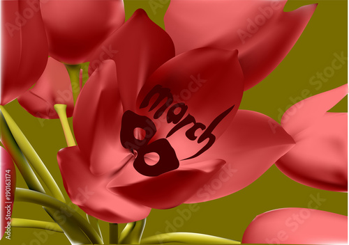tulip in 8 march