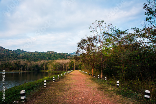 landscape of the forest in Thailand