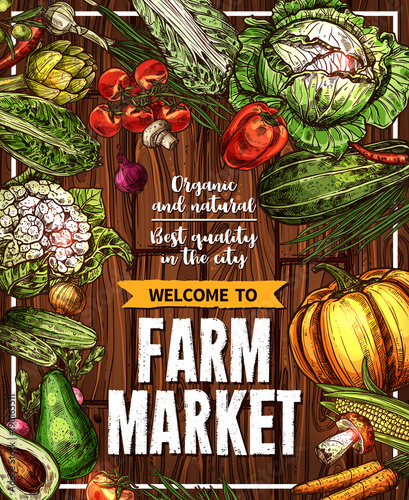 Vector sketch vegetables farm market poster