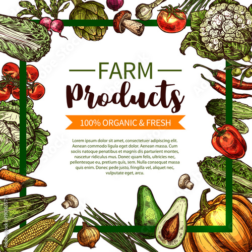 Vector sketch poster of farm organic vegetables