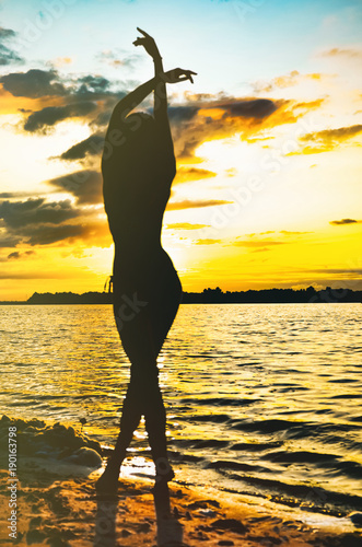 Silhouette of the young woman with long hairs on the beach during golden sunset. Natural darkness and colors. Vertical photo