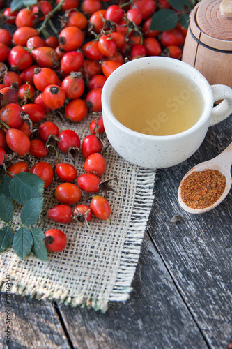 cup of herbal Dog rose tea with bunch branch Rosehips, types Rosa canina hips, essential oil. Medicinal plants and herbs composition 