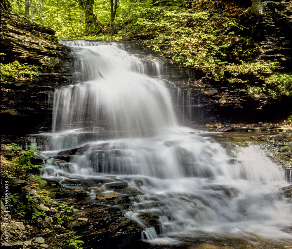 Ricketts Glen harbors Glens Natural Area