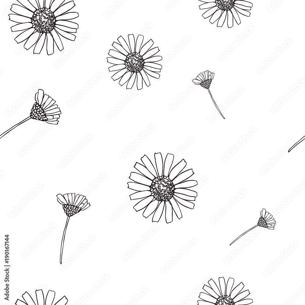 Simple Cute Seamless Pattern with Chamomile Flowers Isolated on White for  Textile and Wallpaper Design or Web Stock Illustration | Adobe Stock