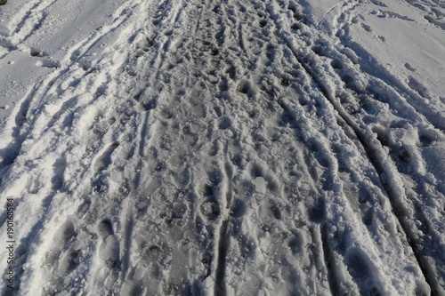 Footprints in the winter