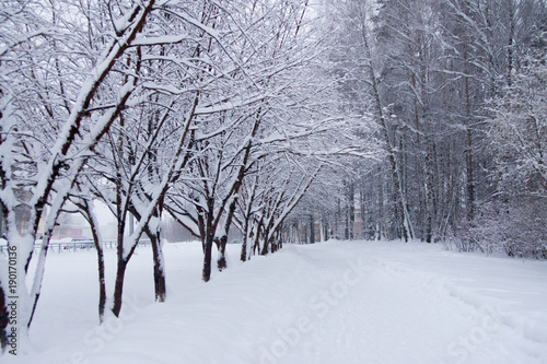 pedestrian road after snowfall © MasterSergeant