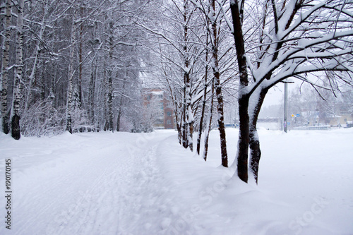 pathway after snowfall © MasterSergeant