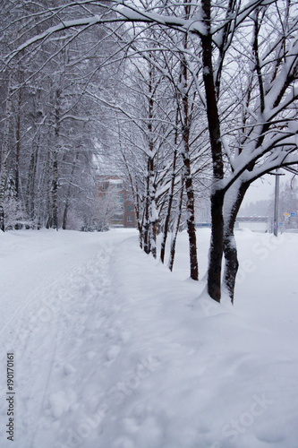 pathway after snowfall