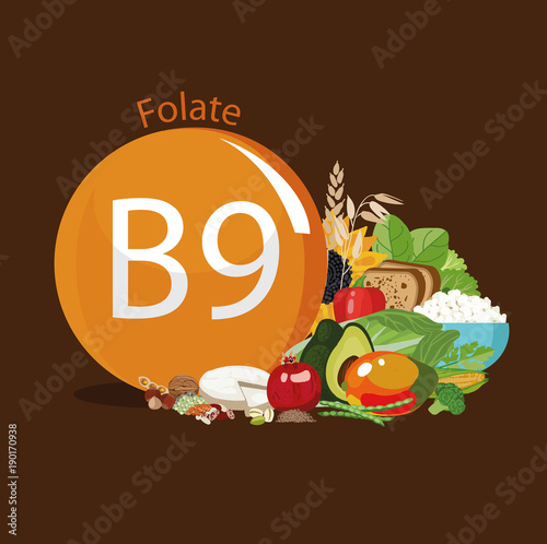 Vitamin B9 (folate).