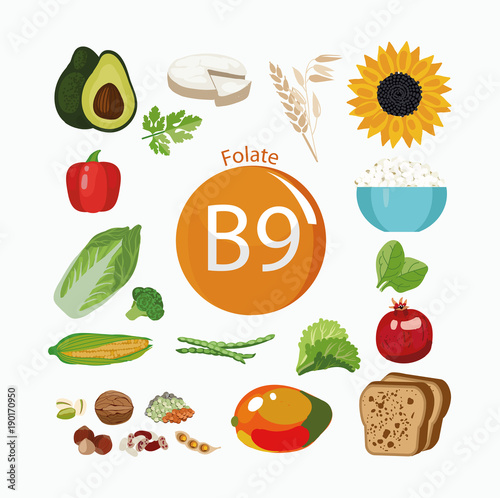 Vitamin B9 (folate).