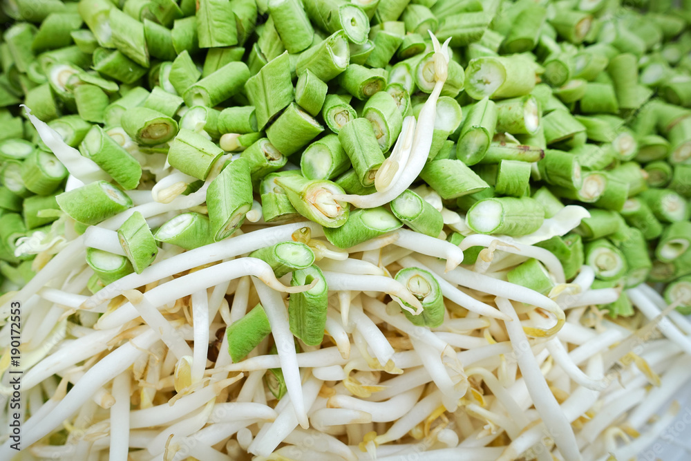 Mixed Cabbage, beans, sprouts for background Mixed Cabbage, beans, sprouts for background