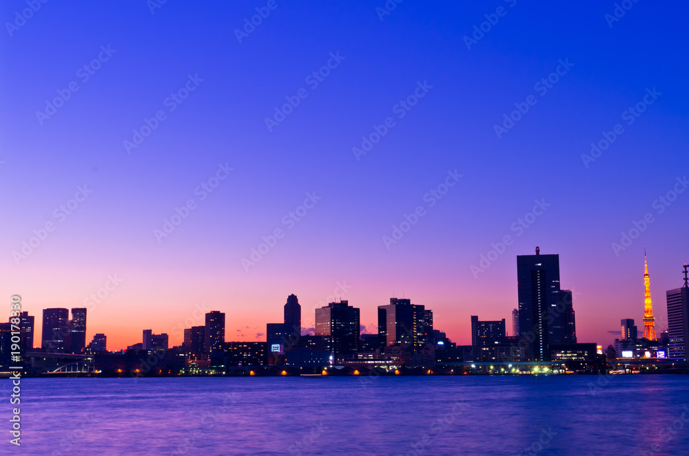 Obraz premium 東京ベイエリアの夜景