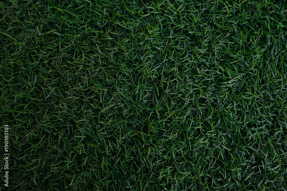 Field of fresh green lawn grass texture natural background . Field of fresh green lawn grass texture natural background .