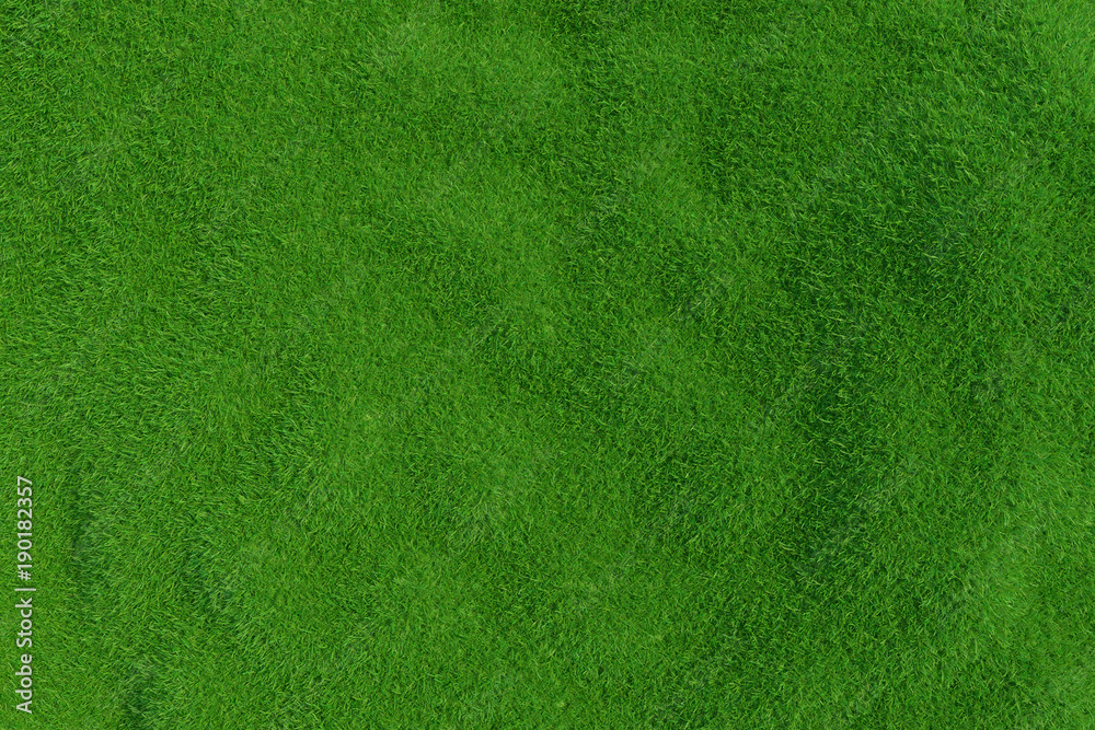 Natural grass texture pattern background. Top view grassy lawn for environmental backdrop. 3d rendering