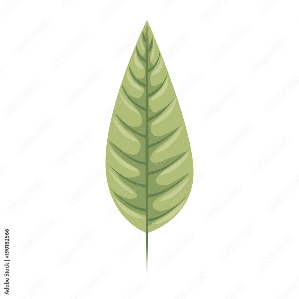 cute leafs decorative icon vector illustration design cute leafs decorative icon vector illustration design