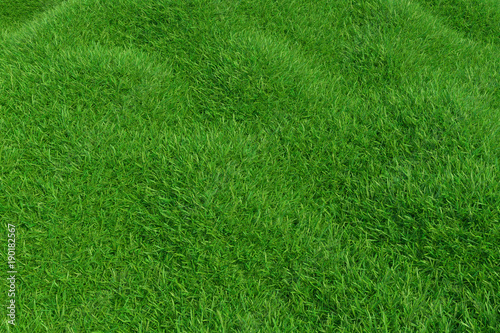 Natural grass texture pattern background. Top view grassy lawn for environmental backdrop. 3d rendering