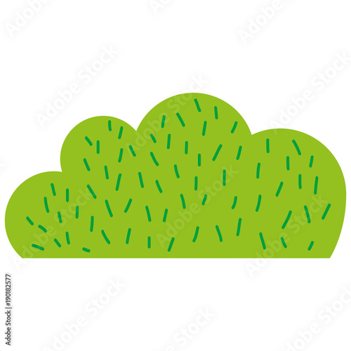 colorful natural bush plant flat design