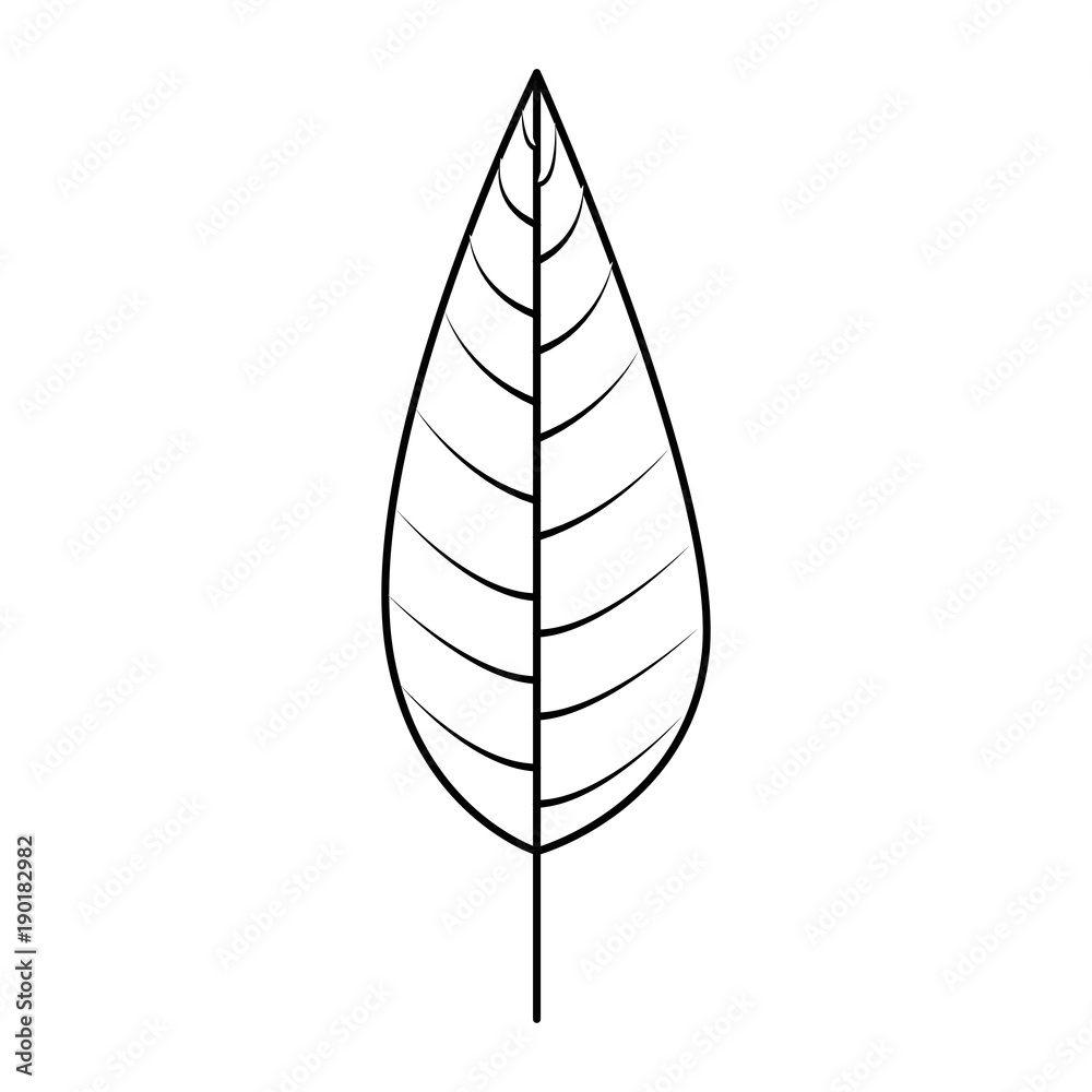 cute leafs decorative icon vector illustration design cute leafs decorative icon vector illustration design