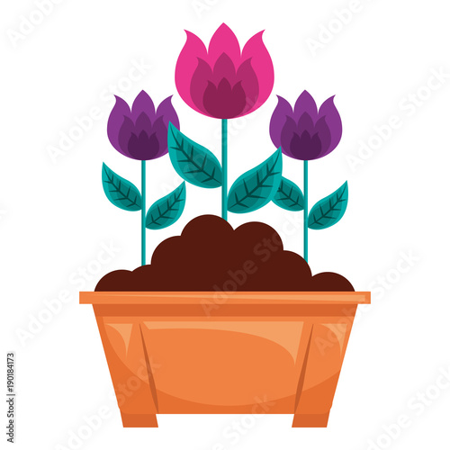 flowers in pot gardening spring decoration vector illustration