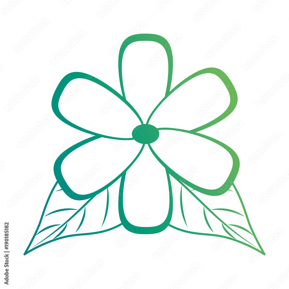flower and leafs floral decoration vector illustration design flower and leafs floral decoration vector illustration design