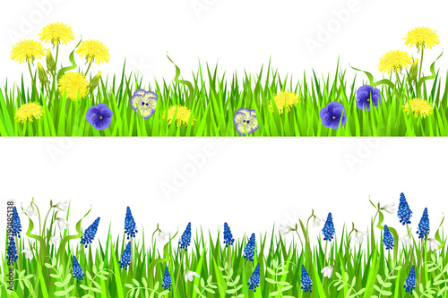 Green grass and spring flowers. Hand drawn vector illustrations on white background for banner design.