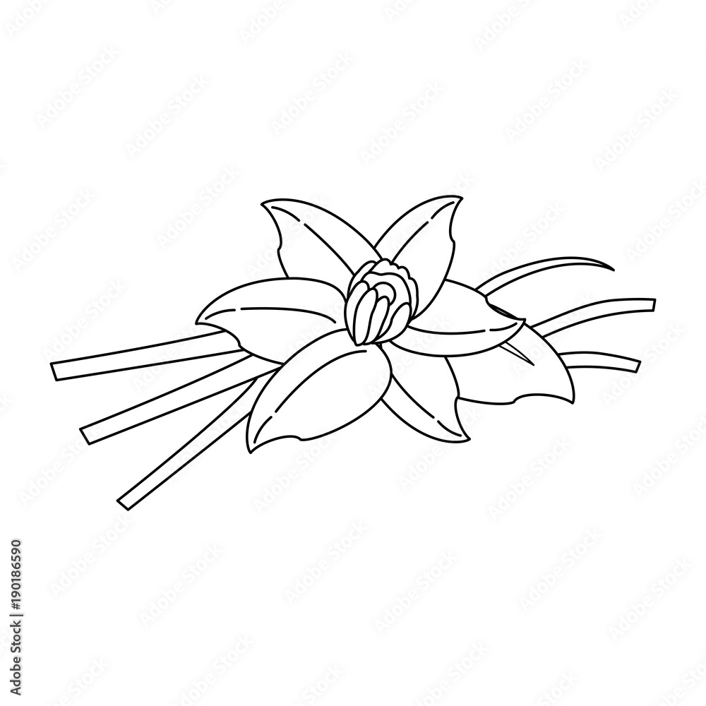 Beautiful flower isolated icon vector illustration graphic design Beautiful flower isolated icon vector illustration graphic design