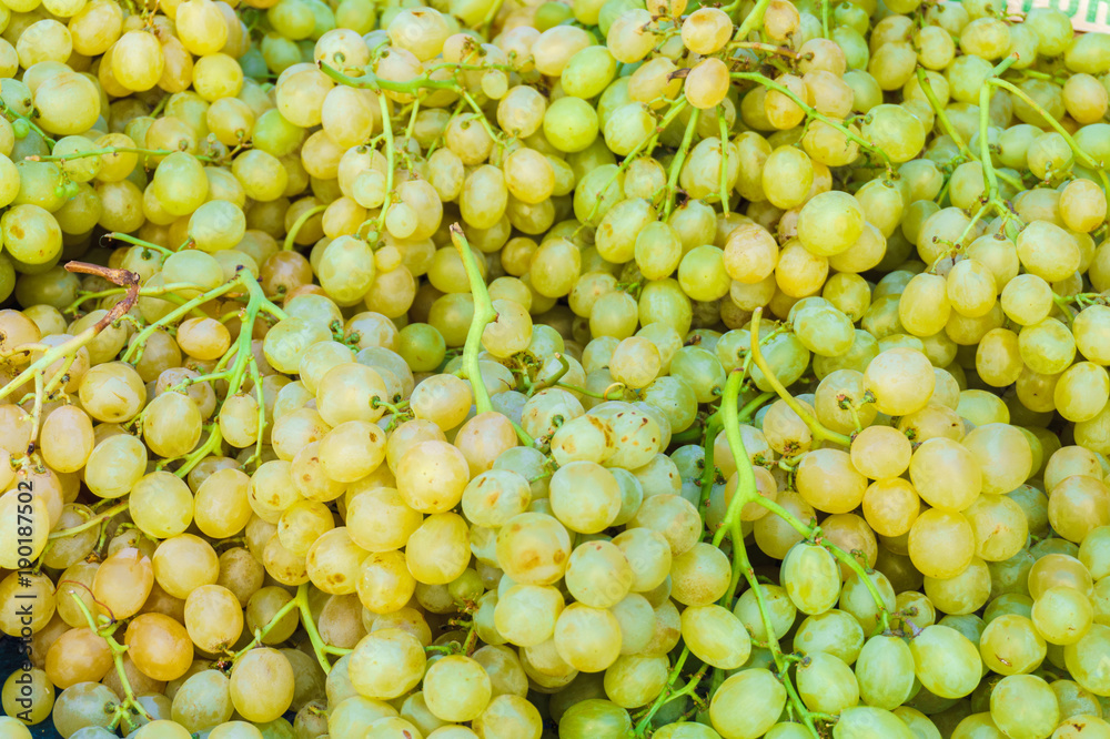 grape background,a lot of juicy ripe yellow green grapes grape background,a lot of juicy ripe yellow green grapes